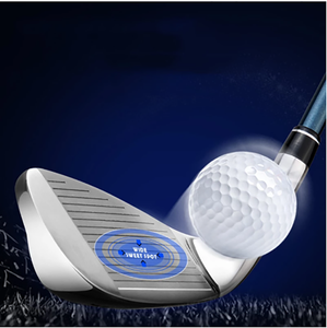 <span class=keywords><strong>Graphite</strong></span> <span class=keywords><strong>ou</strong></span> arbre en <span class=keywords><strong>acier</strong></span> fers de <span class=keywords><strong>golf</strong></span> 7 # pour hommes clubs de <span class=keywords><strong>golf</strong></span> droitiers-fers de <span class=keywords><strong>golf</strong></span> à tête de tige en <span class=keywords><strong>acier</strong></span> inoxydable - Product Image 5