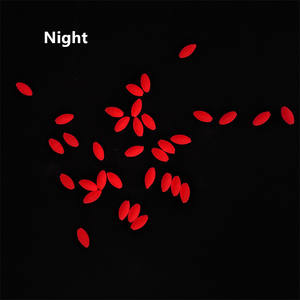 Flotadores de <span class=keywords><strong>Pesca</strong></span> Ovalados Rojos que Brillan en la Oscuridad con Olor a Huevo Pecante, Accesorios de <span class=keywords><strong>Pesca</strong></span> <span class=keywords><strong>Nocturna</strong></span> en el Mar - Product Image 6