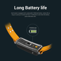 Collier de vache GPS étanche longue durée avec technologie LoRaWAN Produit de mise en réseau de communication pour bétail animal
