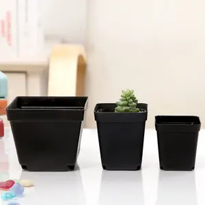 Vasos de plástico preto para plantas, vasos quadrados nutritivos para plantas e sementes de flores