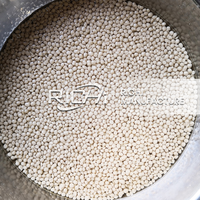 Machine à granulés d'aliments pour poissons RICHI 0,3 mm - Machine extrudeuse multifonctionnelle d'aliments pour poissons flottants