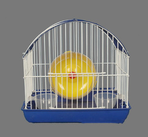 Barato <span class=keywords><strong>jaulas</strong></span> pequeñas para hámster <span class=keywords><strong>jaulas</strong></span> para mascotas <span class=keywords><strong>jaulas</strong></span> para hámster en venta imagen - Product Image 2