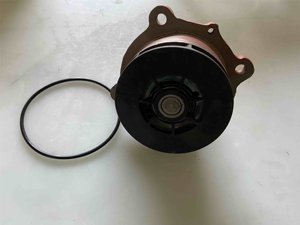 Grader/Grader 4110000970109 Ensemble de pompe à eau 11224127 Ancien n° 4110002126303 1307015A52D - Product Image 6