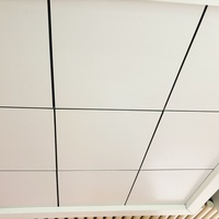 Panel Acústico de Aluminio para Falso Techo Beauty East de 600x600