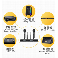 Microphone sans fil professionnel UHF double canal à véritable diversité, rechargeable, pour extérieur, portée 200 mètres, avec suppression du bruit