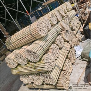 Varas de Bambú Chino Tonkin de Diámetro Pequeño, Anticorrosivas, para Uso Agrícola, Viveros, Jardines, Cercas, Astas de Banderas - Product Image 1