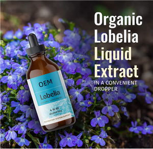 บริการ OEM ผลิตภัณฑ์เสริมอาหารสารสกัดสมุนไพรออร์แกนิก โลมาเทียม ชนิดน้ำ ปราศจากกลูเตน ไม่ใช่จีเอ็มโอ สมุนไพรบำบัด - Product Image 3