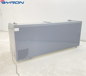 Hot Pot Restaurant and Buffet Beef Mutton Frozen Storage Chest <b>Freezer</b> Horizontal Deep <b>Freezer</b> Horizontal Deep <b>Freezer</b> - Product Image 6