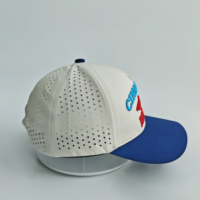 Casquette de baseball structurée pour la pêche en plein air, bicolore, personnalisée, avec broderie 3D en relief de poisson, découpée au laser et dotée de trous de ventilation respirants