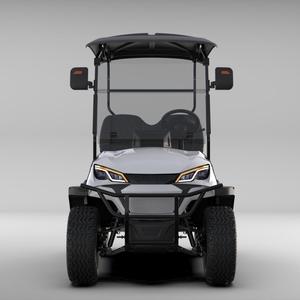 Anpassbarer 72V Elektro-Golfwagen mit 2 Sitzen, Geländegängiges Nutzfahrzeug, 7,5KW Motor, Curtis-Controller - Product Image 2