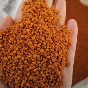 Pollen d'<span class=keywords><strong>abeille</strong></span> - Product Image 4