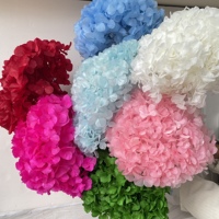 Bunga Hydrangea Daun Besar Hijau Awet, Produk Terlaris, Bunga Hydrangea Awet untuk Dekorasi Pernikahan