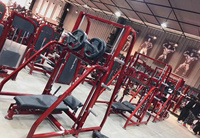 Équipement de gym multifonctionnel pour usage domestique, entraîneur fonctionnel, équipement de gym pour usage commercial, banc inclinable