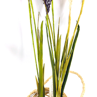 Diskon Besar-besaran Dekorasi Rumput Pampas Buatan