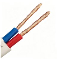 RVVB 2-adriges, mehradriges Kupfer-Rundkabel mit PVC-Ummantelung, flexibel, IP65, 70°C, für Bergbauanwendungen, 300/500V Stromkabel