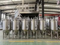 Cuve de Fermentation de Bière 50L-300L en Acier Inoxydable 304 avec Pompe et Moteur Contrôlés par PLC, Équipement de Brasserie Micro à Haute Productivité