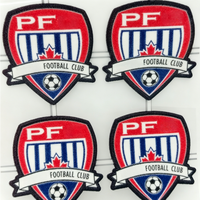 Écussons thermocollants en tissu floqué pour badges de football, pour vêtements d'équipe, uniformes sportifs et sacs (vente en gros)