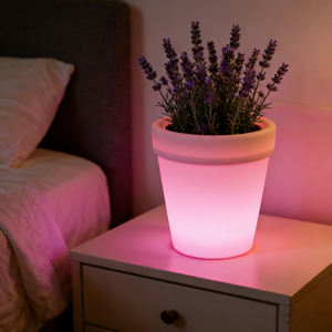 Maceta de Plástico PE Contemporánea, Ecológica, Degradable e Impermeable para Uso en Interiores y Exteriores, en el Suelo y Colgante - Product Image 6