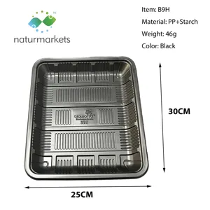 Wholesale Biodegradable Cornstarch Bio-Based Fish Vegetable Biscuit Food Trays Plastic Fruit Tray