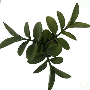 Piccola foglia artificiale di Zamioculcas Zamiifolia Bonsai per decorazione da tavola prodotto vegetale di qualità Premium - Product Image 1
