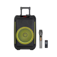 Enceinte Karaoké avec Micro et Bluetooth, Enceinte Trolley Double 12 Pouces avec Micro Sans Fil