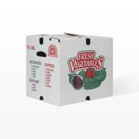 Vente en gros de carton ondulé Boîtes de fruits et légumes de 5 kg Boîtes d'emballage carton boisseau de cire