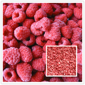 Framboise congelée IQF de qualité supérieure à des <span class=keywords><strong>prix</strong></span> compétitifs - Product Image 5