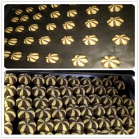 Machine automatique de remplissage et d'enrobage de biscuits au chocolat à double couleur