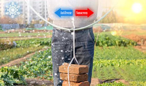 Tomate grimpante concombre poteaux de clôture piquets de poteau végétal prend en charge l'agriculture arc hangar support - Product Image 4