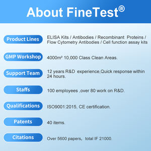 PerCP Ratten-IgG2b, K-Isotyp-Kontrolle (LTF-2) - Product Image 6