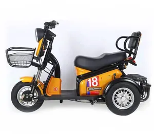 최고의 가격 전기 trike 스쿠터 안전하고 신뢰할 전동 바디 3 휠 인력거 전기 세발 자전거