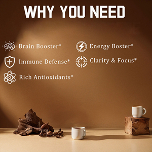 Private Label Mushrooms Powder Contains Lion's Mane With Reishi Supports Active Lifestyles Mushroom Extract Powder - Product Image 6