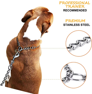 <span class=keywords><strong>Collar</strong></span> de estrangulación de perro Martingale de acero inoxidable de alta resistencia, <span class=keywords><strong>Collar</strong></span> de cadena para mascotas de calidad superior, arneses de correa personalizados sólidos - Product Image 4