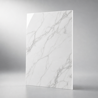 Feuille de plastique ASA écologique, épaisseur 1 mm, taille 1220x2440 mm, prête à l'emploi immédiate pour plafonds, cloisons, revêtements de meubles