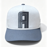 Casquette de baseball personnalisée 2 tons de haute qualité Gorras à bord incurvé et couronne centrale pour hommes Casquette Dandy 5 panneaux à cadre