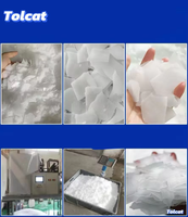 Machine à glace en flocons de qualité alimentaire en acier inoxydable pour ligne de transformation des produits de la mer avec un fonctionnement parfait