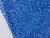 Bâche imperméable en PE enduit pour jardin, extérieur, bateau, camion, abri pour animaux, couverture de toit, bâche en PE résistante à l'eau