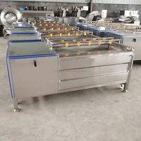 Machine de nettoyage à neuf rouleaux entièrement automatique pour légumes-racines, équipement de nettoyage et de pelage pour radis et patates douces