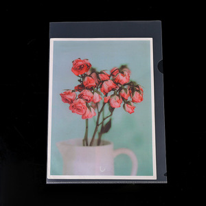 Bìa Đựng Giấy Doc Trong Suốt Bằng Nhựa In Tùy Chỉnh Độ Dày Thêm Bìa Đựng Hồ Sơ Hình Chữ L PP Mờ Cỡ A4 - Product Image 4