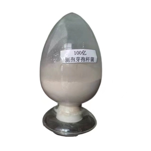 Poudre de Bacillus Laterosporus hydrosoluble 100 milliards d'UFC/g pour fertigation, pulvérisation foliaire et application en étang aquacole - Product Image 1