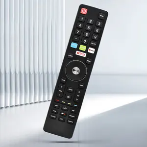 Télécommande de télévision intelligente ODM de mode pour téléviseurs Miray Konka Enxuta Rca Dexp Atvio Chang Hong avec fonction YouTube et Netflix