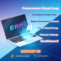 Développement de logiciels de systèmes de gestion ERP intelligents et solutions complètes (y compris la livraison du code source)