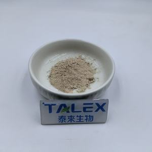 Extrait de Hericium Erinaceus en poudre, polysaccharides 10%-50%, extrait de champignon crinière de lion - Product Image 3