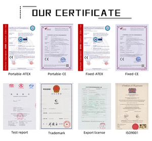<span class=keywords><strong>Detector</strong></span> portátil à prova de explosões do gás do hidrogênio com certificado do CE ATEX - Product Image 6