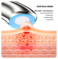 Appareil de beauté pour usage domestique - Masseur facial portatif pour le lifting du visage et les soins de beauté