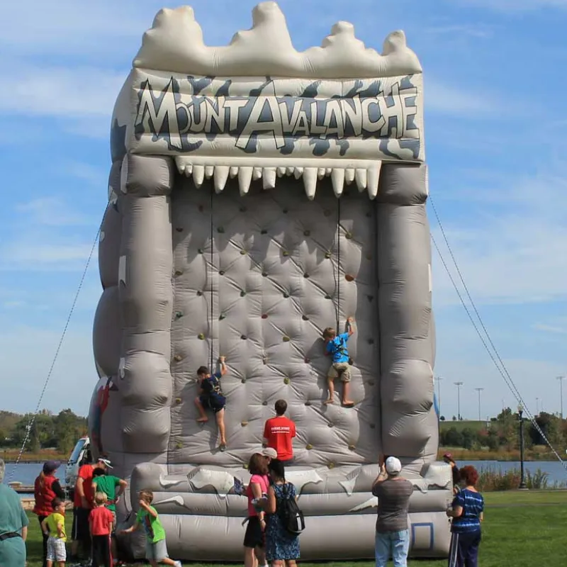 Inflatable Rock Climbing Wall Bounce House Jumping Bouncy Castle with Accessories