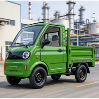 Pick-up électrique 3500W, homologué EEC COC L6e, véhicule utilitaire électrique neuf, entrepôt Roumanie, véhicule à énergie nouvelle, hydraulique