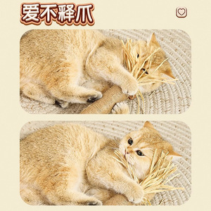 Jouets à mâcher pour chat, bâton de céleri en bois, durable pour chatons, divertissement autonome, fournitures pour animaux de compagnie - Product Image 2
