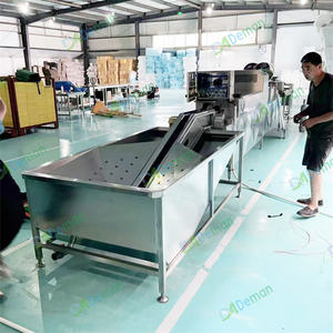 Machine de lavage, séchage, éclairage et tri des œufs de poule et de canard à <span class=keywords><strong>prix</strong></span> d'usine - Product Image 2