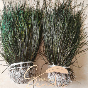 Approvisionnement d'usine 1 kg/<span class=keywords><strong>Lot</strong></span> matériaux <span class=keywords><strong>de</strong></span> <span class=keywords><strong>plumes</strong></span> <span class=keywords><strong>de</strong></span> montage <span class=keywords><strong>de</strong></span> mouches 15-20cm <span class=keywords><strong>plumes</strong></span> <span class=keywords><strong>de</strong></span> paon Herl enfilées - Product Image 2